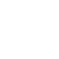 icone facebook
