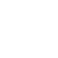icone linkedin
